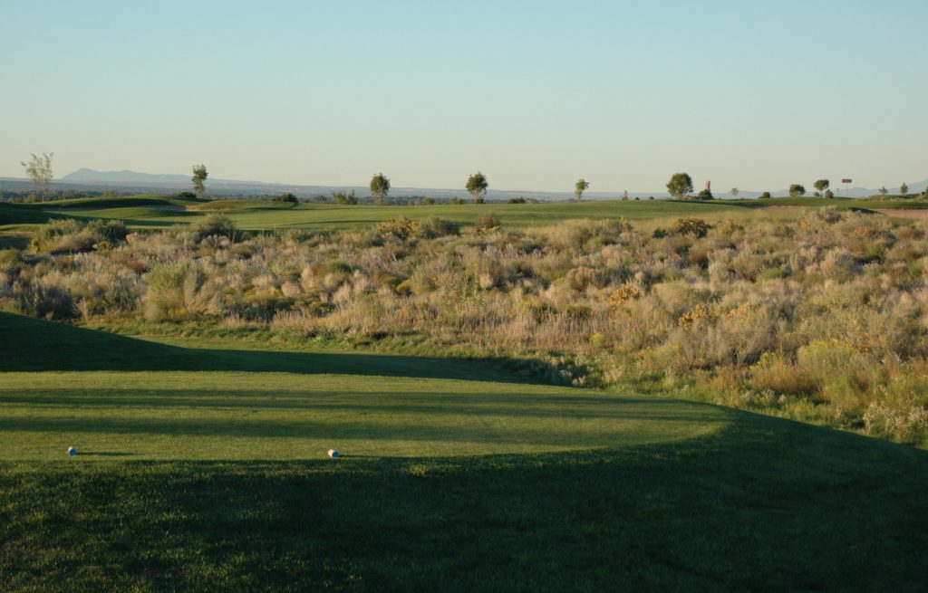 Mesa5Tee